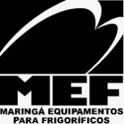 MEF